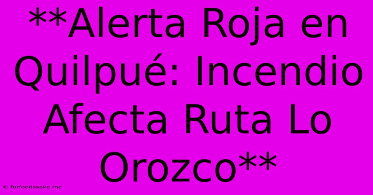 **Alerta Roja En Quilpué: Incendio Afecta Ruta Lo Orozco**