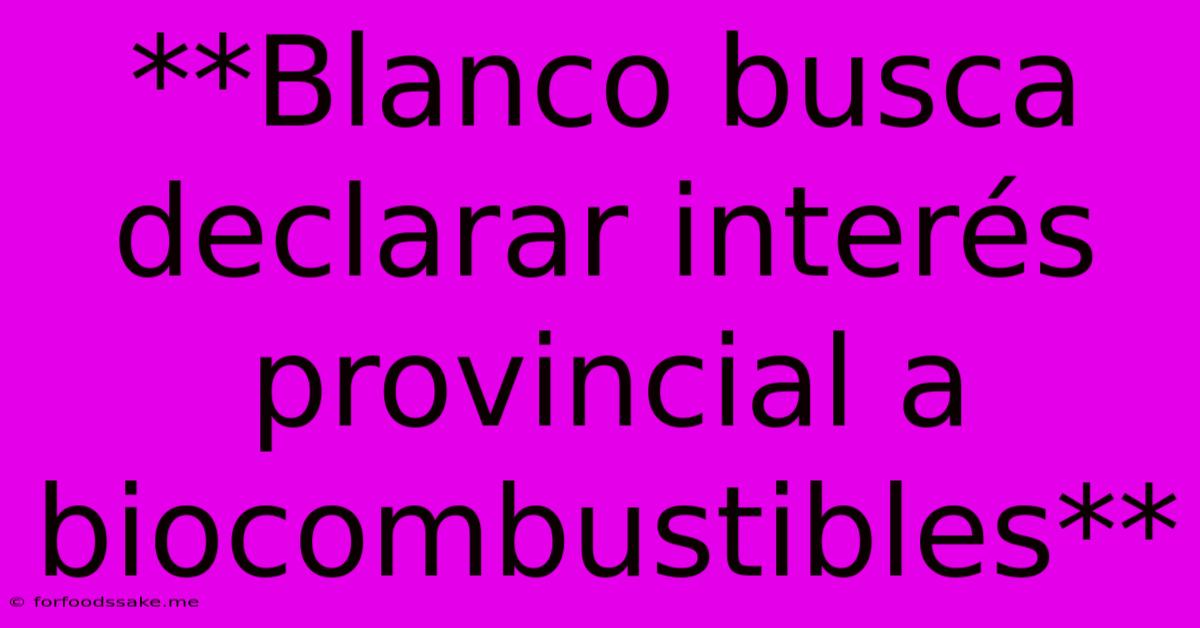 **Blanco Busca Declarar Interés Provincial A Biocombustibles**