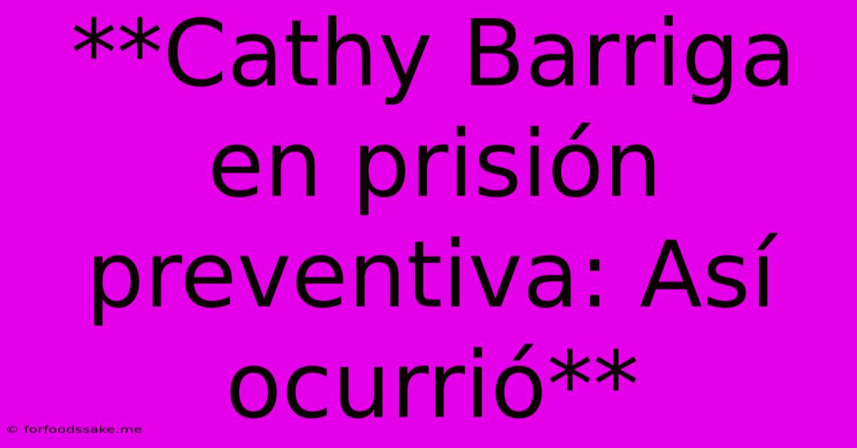 **Cathy Barriga En Prisión Preventiva: Así Ocurrió**