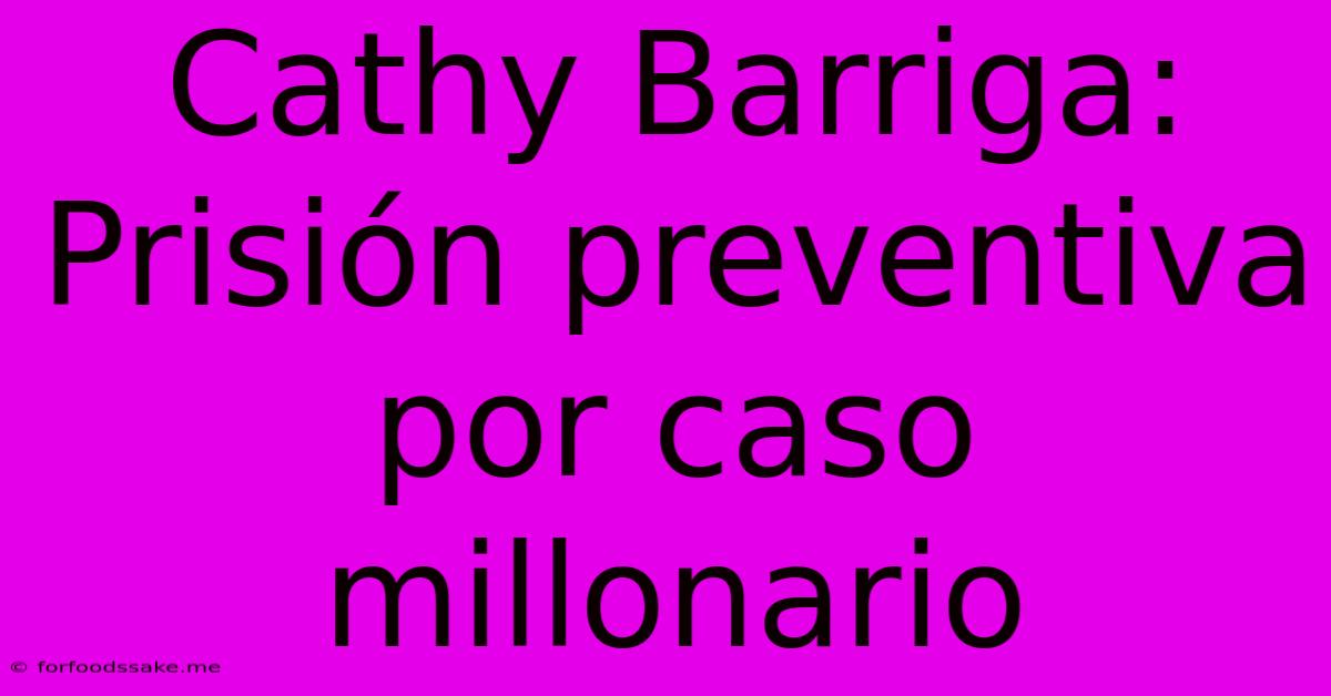 Cathy Barriga: Prisión Preventiva Por Caso Millonario