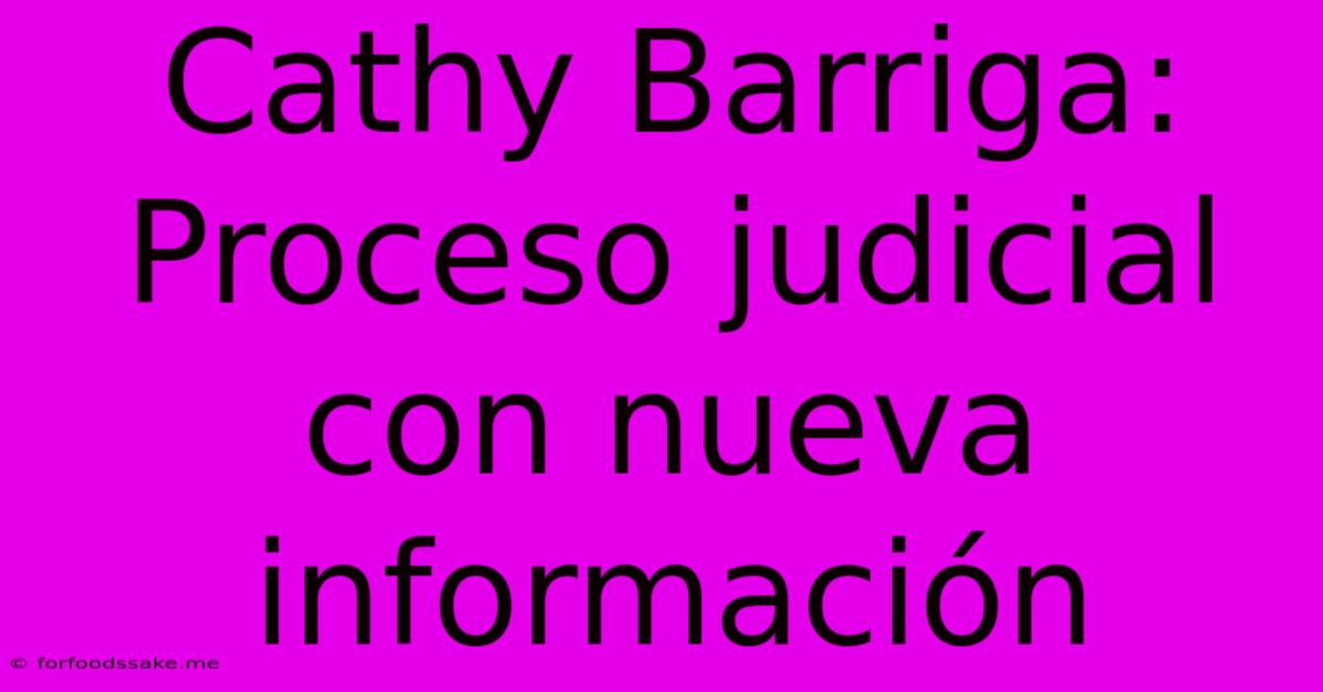 Cathy Barriga: Proceso Judicial Con Nueva Información 