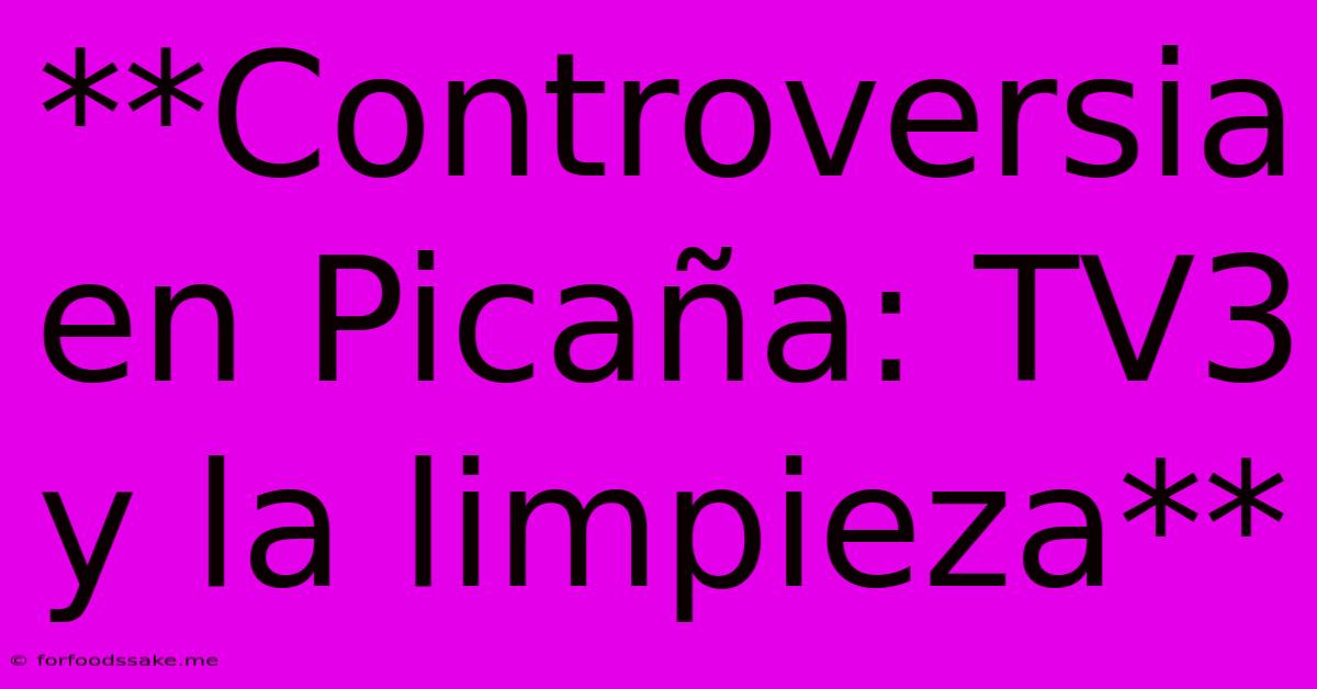 **Controversia En Picaña: TV3 Y La Limpieza**