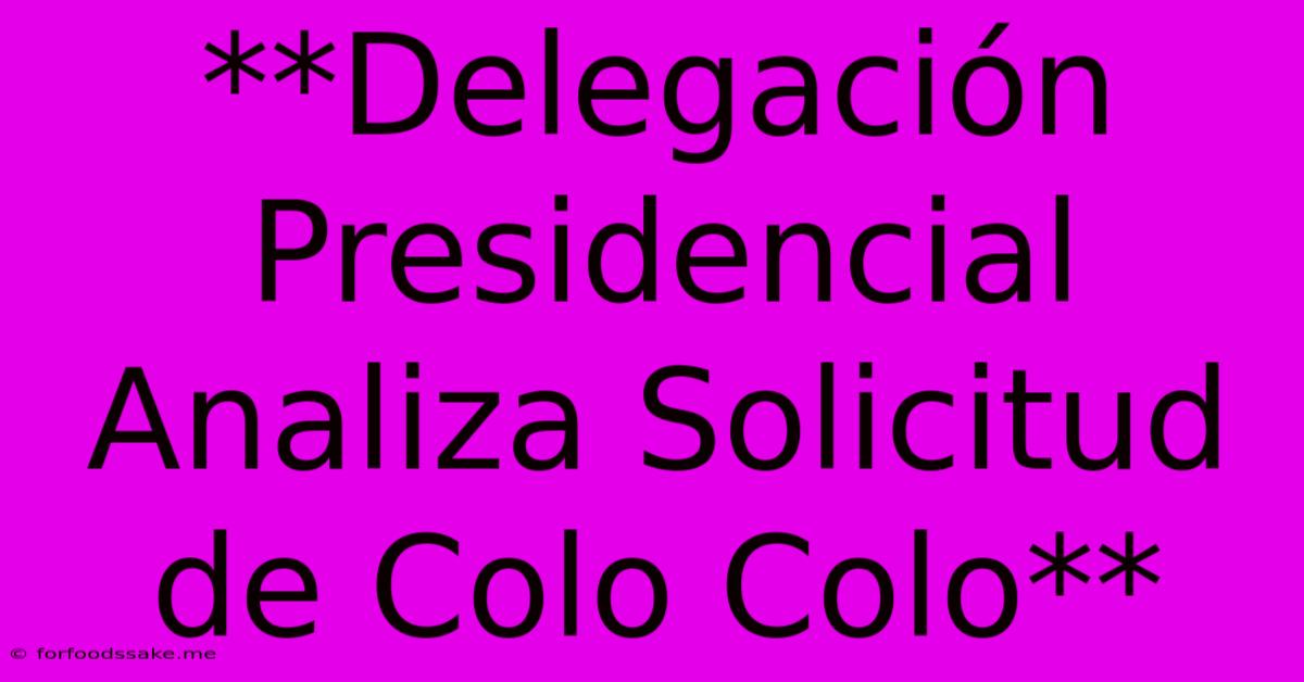 **Delegación Presidencial Analiza Solicitud De Colo Colo** 