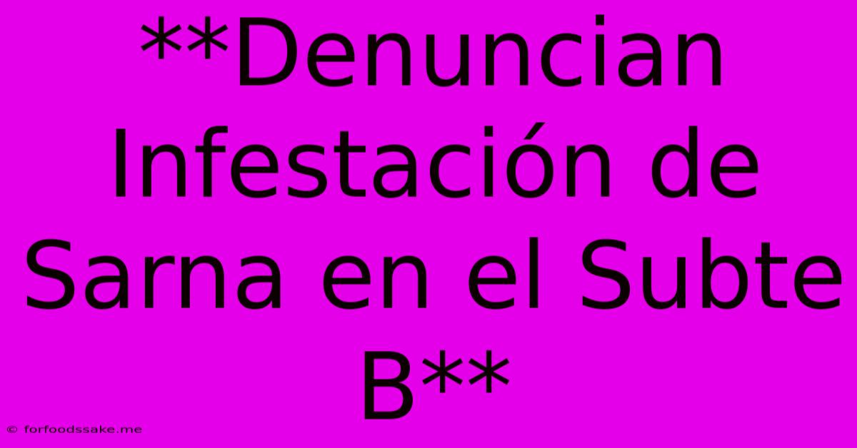 **Denuncian Infestación De Sarna En El Subte B**