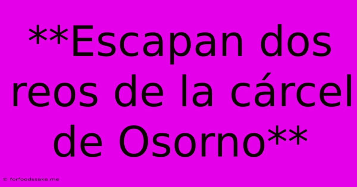 **Escapan Dos Reos De La Cárcel De Osorno** 