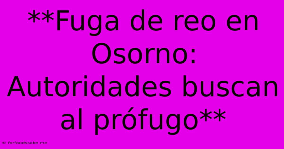 **Fuga De Reo En Osorno: Autoridades Buscan Al Prófugo** 