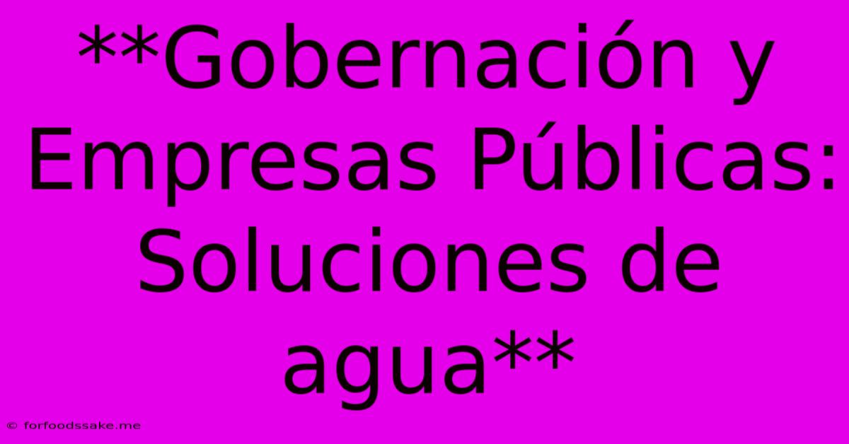 **Gobernación Y Empresas Públicas: Soluciones De Agua**