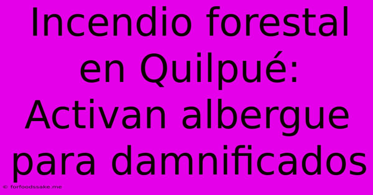 Incendio Forestal En Quilpué: Activan Albergue Para Damnificados 