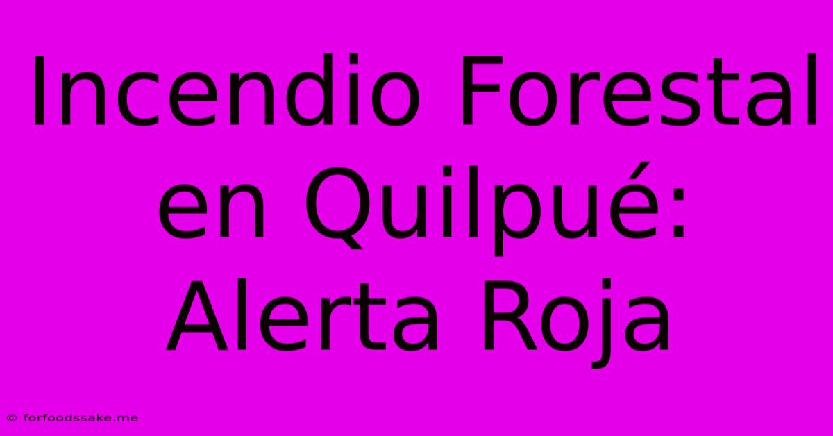 Incendio Forestal En Quilpué: Alerta Roja 