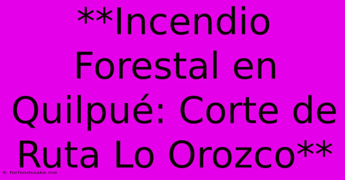 **Incendio Forestal En Quilpué: Corte De Ruta Lo Orozco**