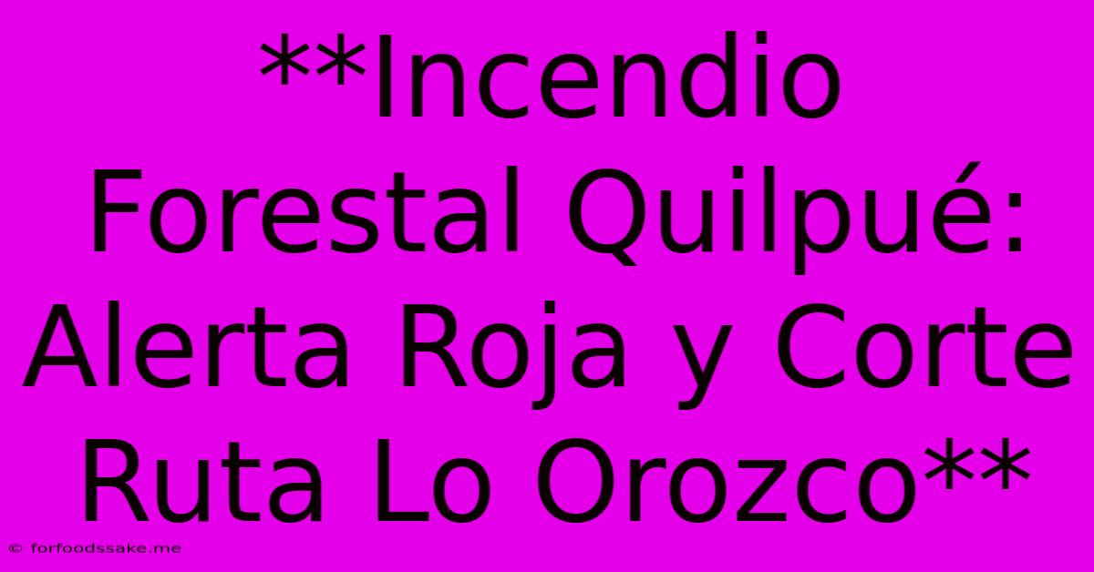 **Incendio Forestal Quilpué: Alerta Roja Y Corte Ruta Lo Orozco**