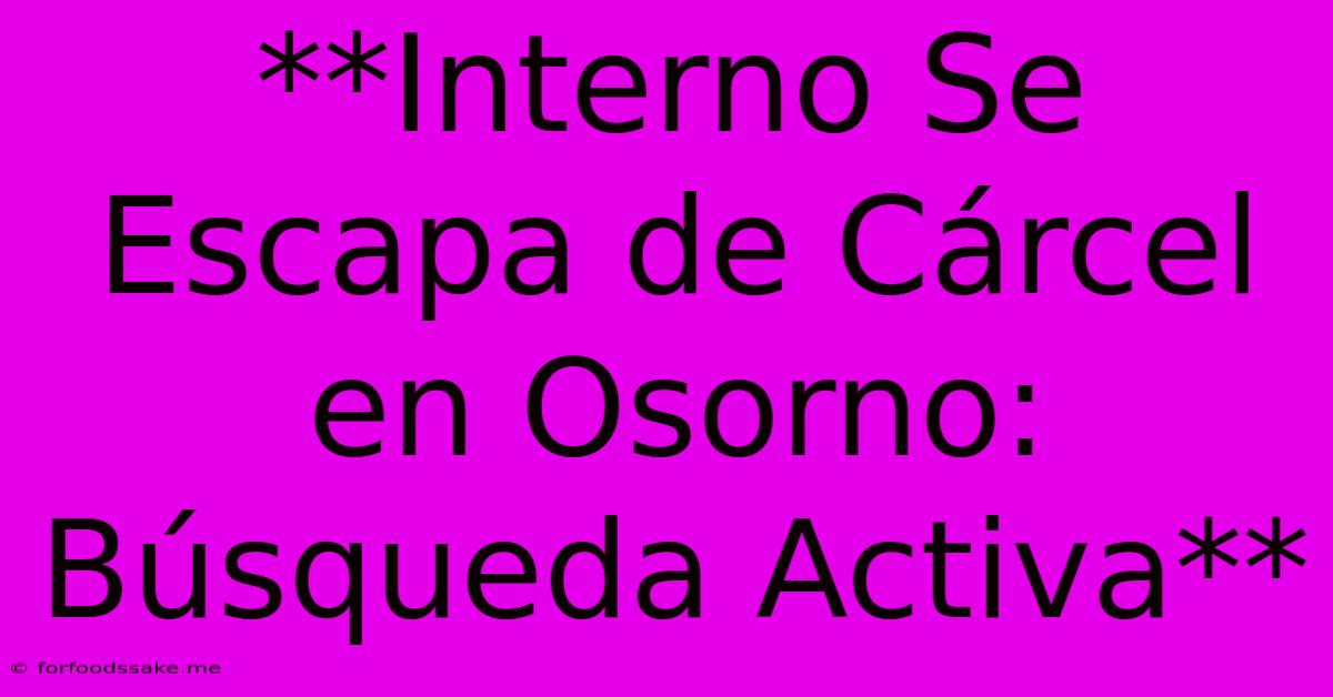 **Interno Se Escapa De Cárcel En Osorno: Búsqueda Activa** 