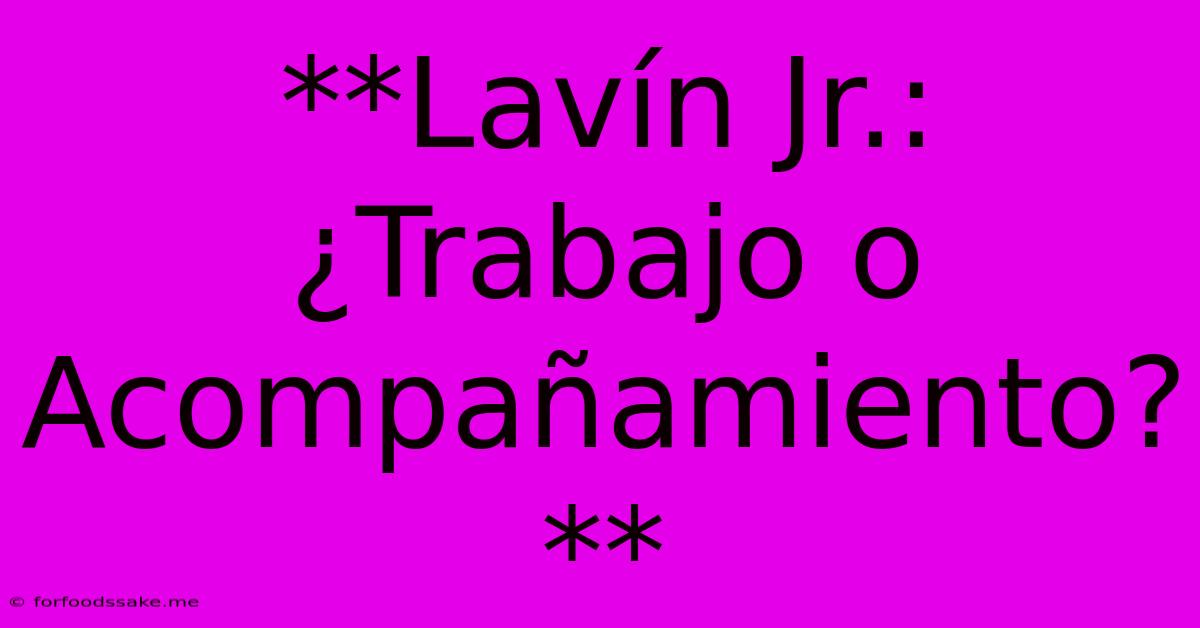 **Lavín Jr.: ¿Trabajo O Acompañamiento?**