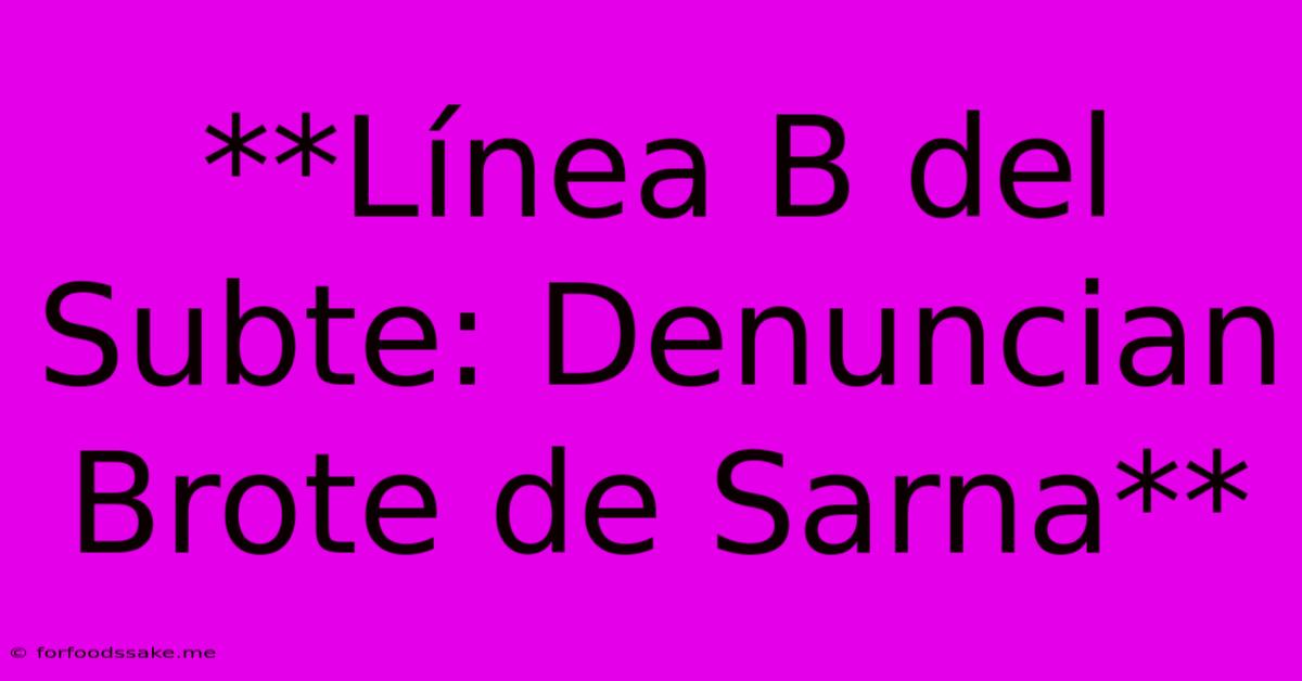 **Línea B Del Subte: Denuncian Brote De Sarna**