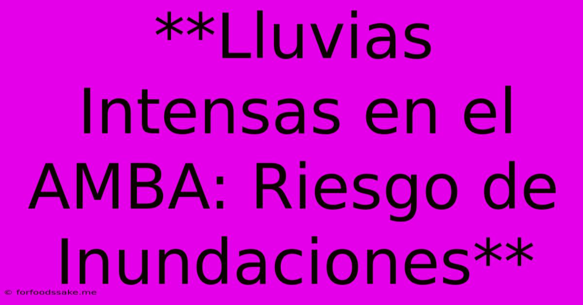 **Lluvias Intensas En El AMBA: Riesgo De Inundaciones** 