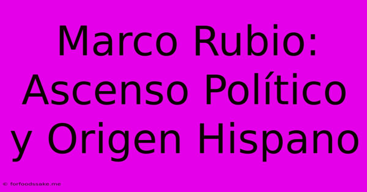 Marco Rubio: Ascenso Político Y Origen Hispano 