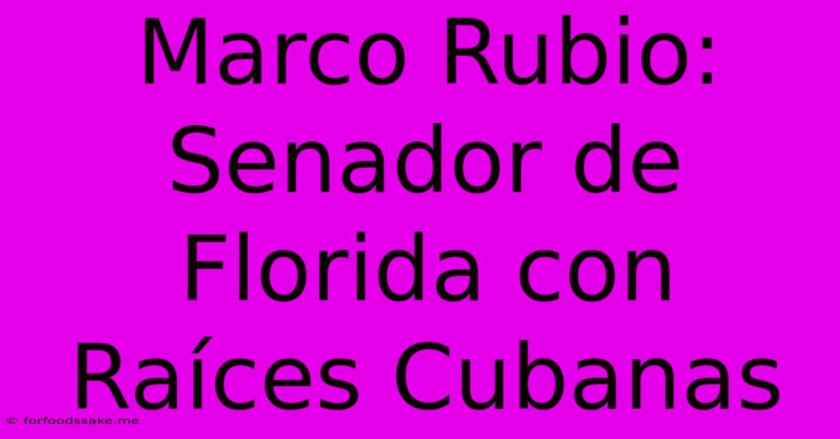 Marco Rubio: Senador De Florida Con Raíces Cubanas