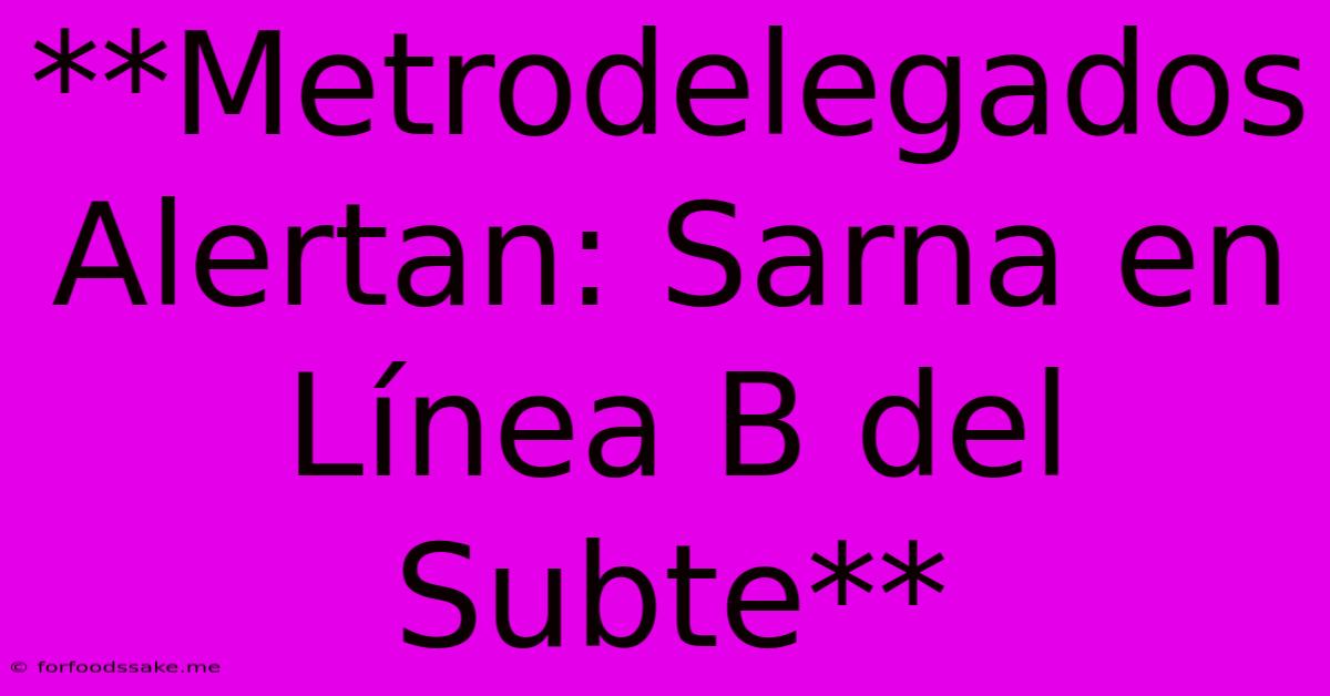 **Metrodelegados Alertan: Sarna En Línea B Del Subte**