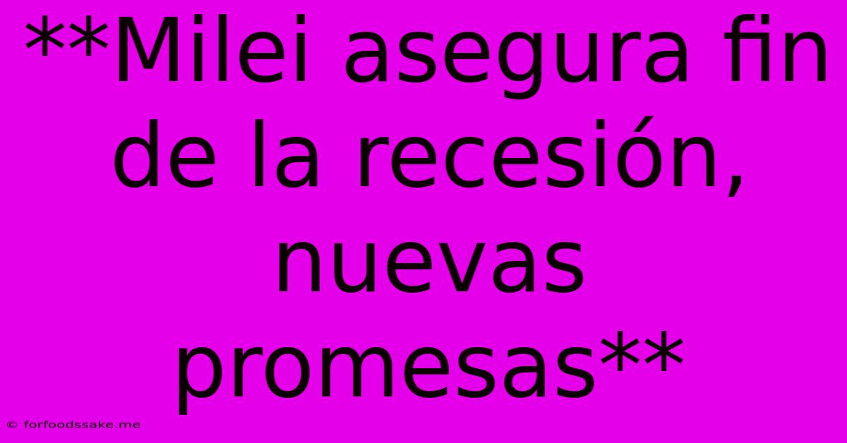 **Milei Asegura Fin De La Recesión, Nuevas Promesas**