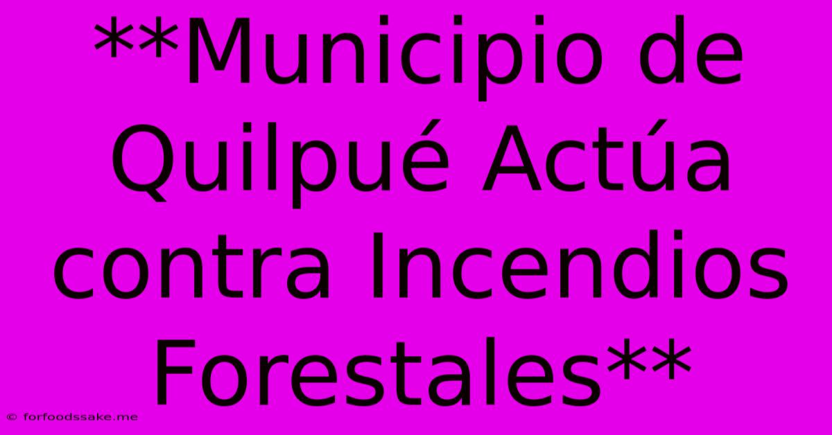 **Municipio De Quilpué Actúa Contra Incendios Forestales**