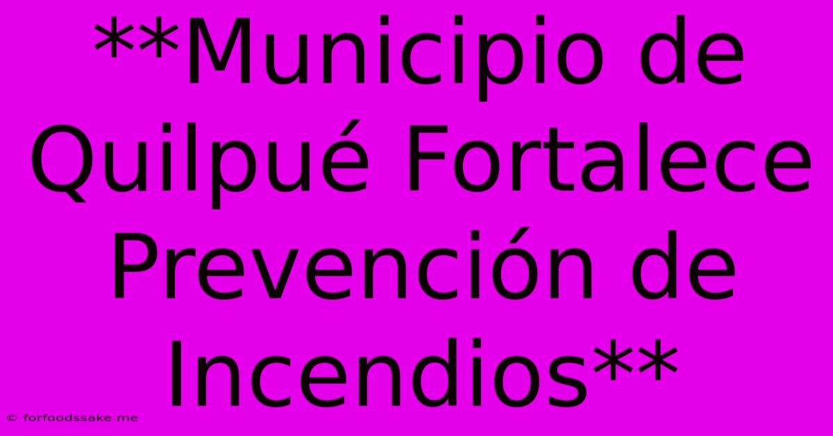 **Municipio De Quilpué Fortalece Prevención De Incendios**