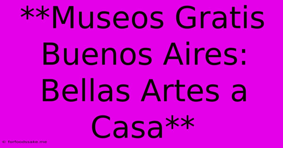 **Museos Gratis Buenos Aires: Bellas Artes A Casa**