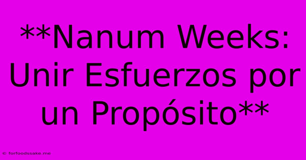 **Nanum Weeks: Unir Esfuerzos Por Un Propósito**