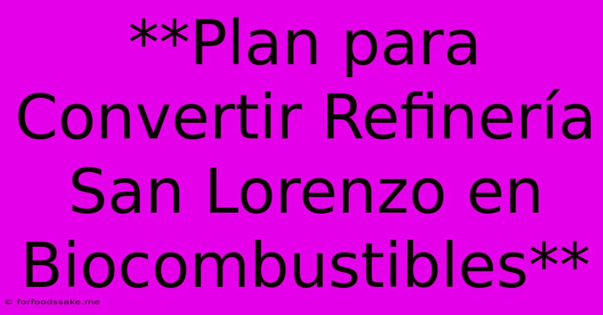 **Plan Para Convertir Refinería San Lorenzo En Biocombustibles**