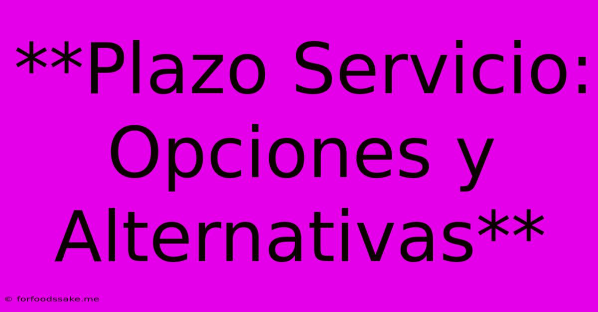 **Plazo Servicio: Opciones Y Alternativas**