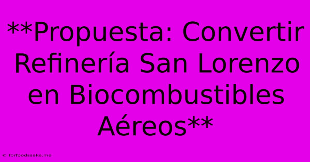 **Propuesta: Convertir Refinería San Lorenzo En Biocombustibles Aéreos**