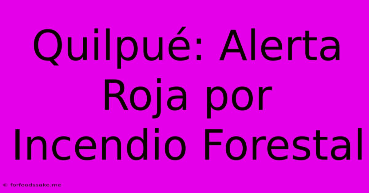 Quilpué: Alerta Roja Por Incendio Forestal