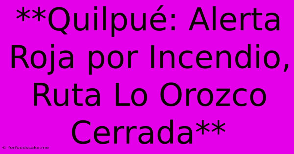 **Quilpué: Alerta Roja Por Incendio, Ruta Lo Orozco Cerrada**