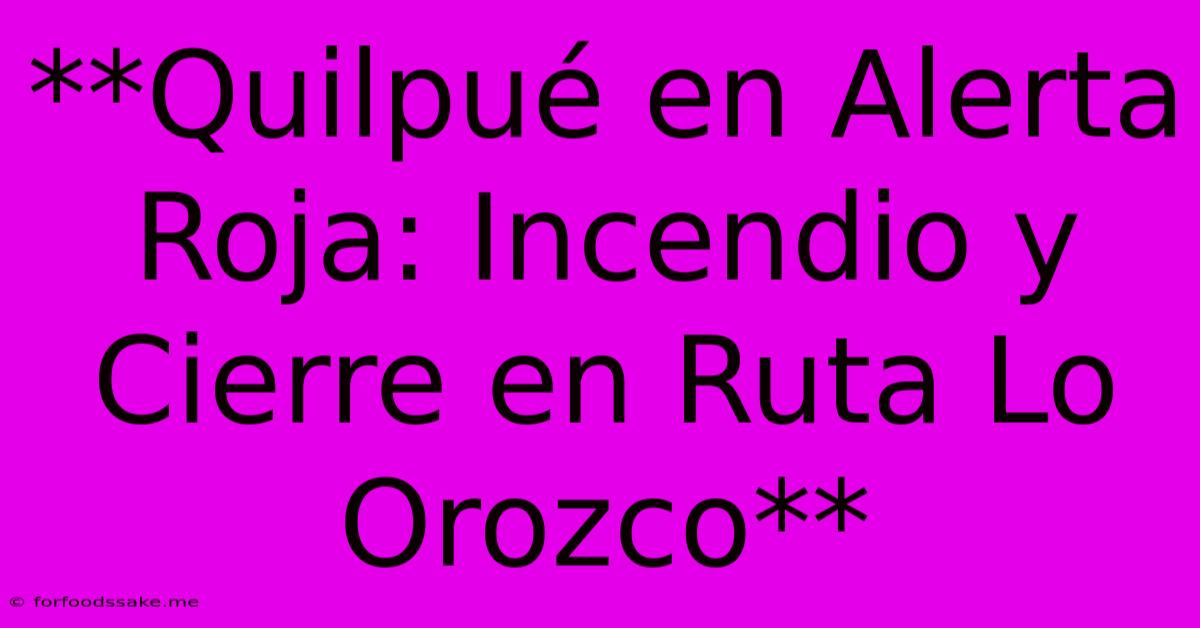 **Quilpué En Alerta Roja: Incendio Y Cierre En Ruta Lo Orozco** 