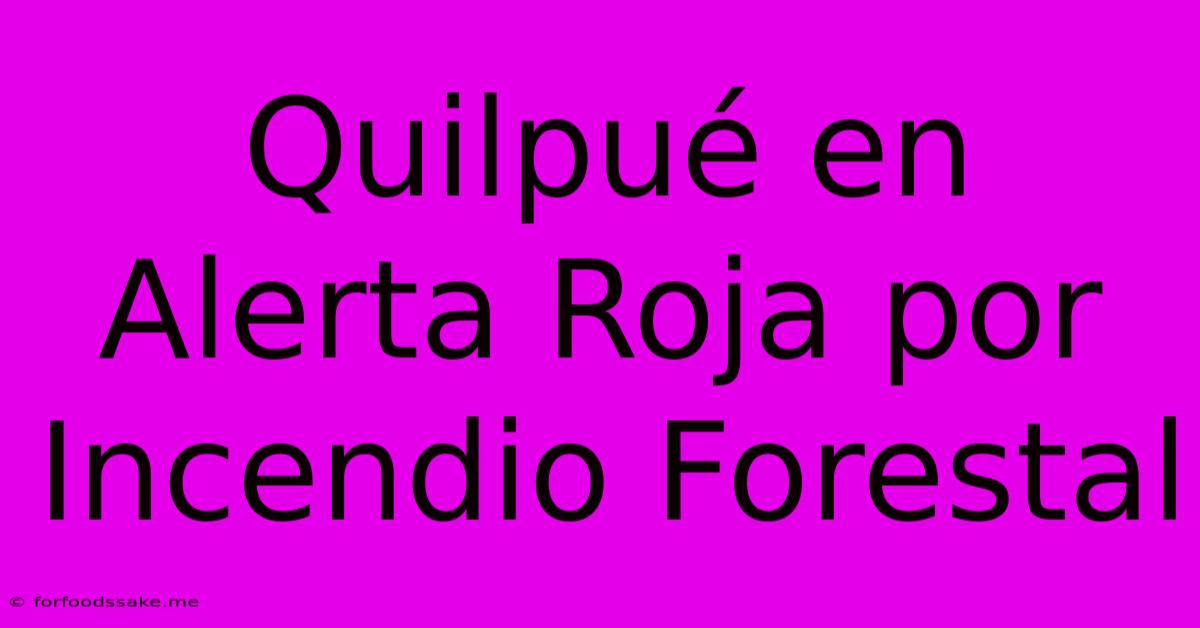 Quilpué En Alerta Roja Por Incendio Forestal