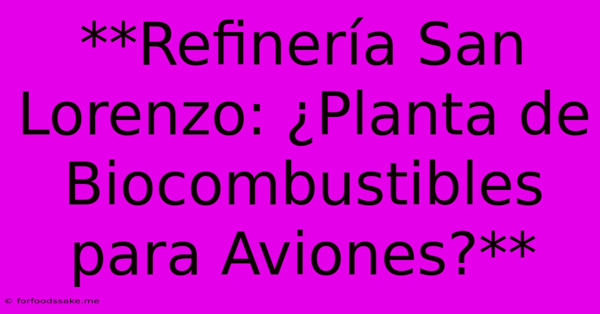 **Refinería San Lorenzo: ¿Planta De Biocombustibles Para Aviones?**