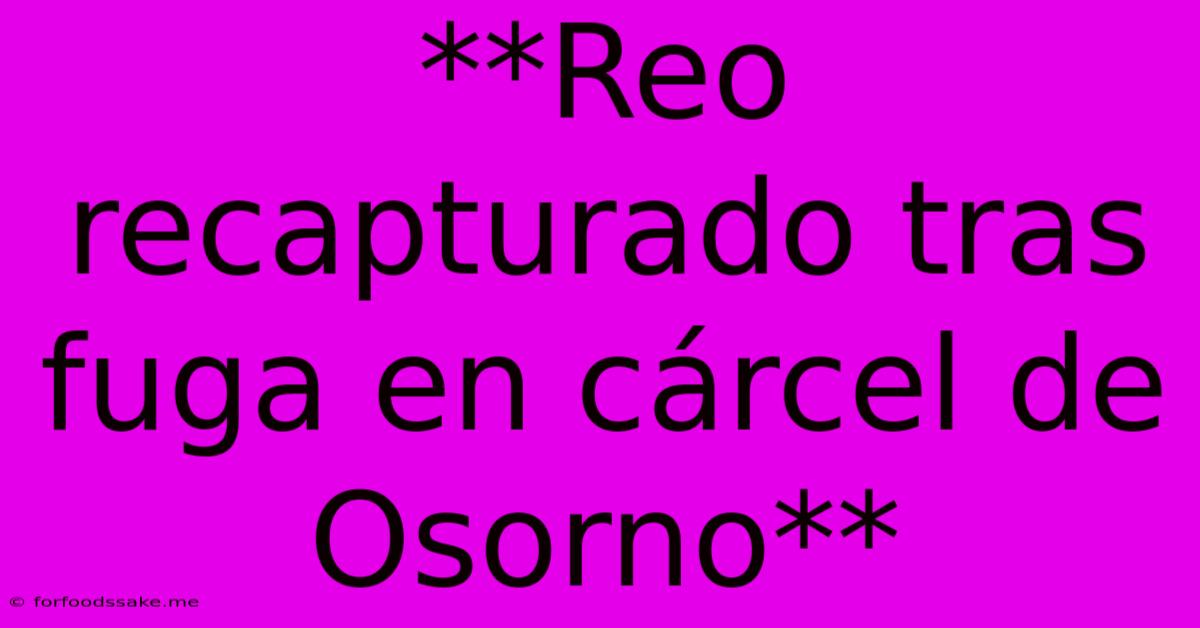 **Reo Recapturado Tras Fuga En Cárcel De Osorno** 