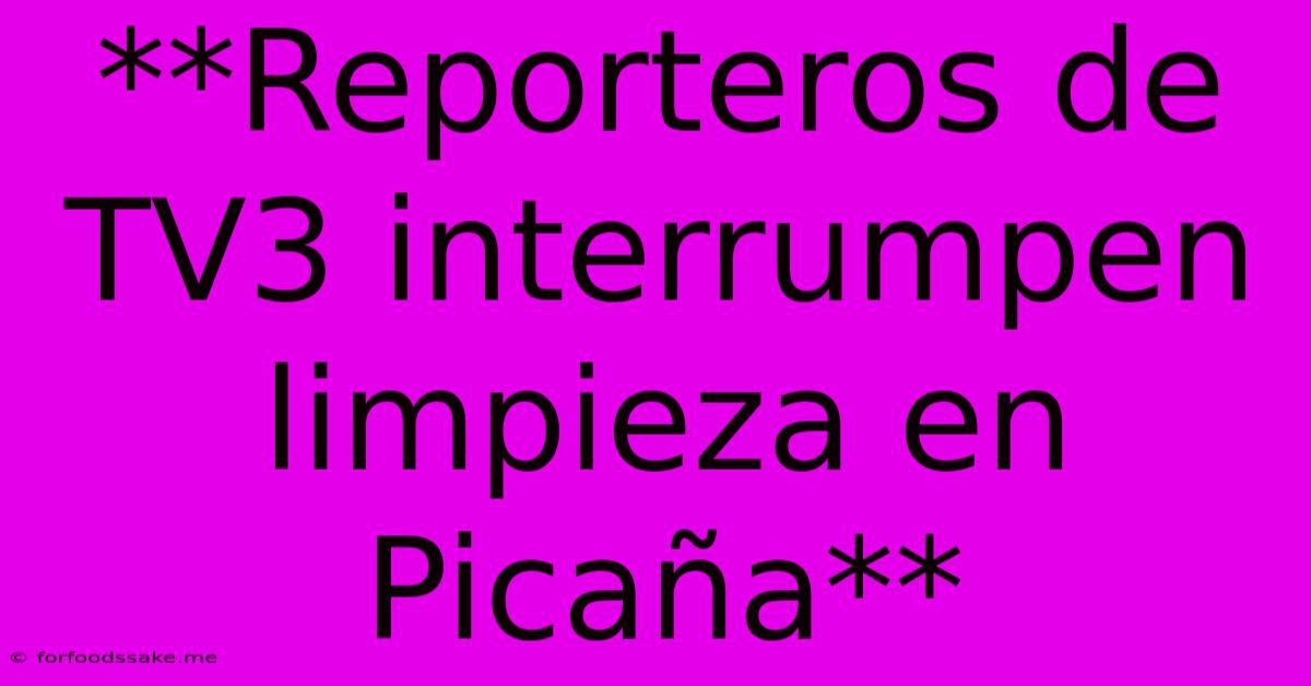 **Reporteros De TV3 Interrumpen Limpieza En Picaña**