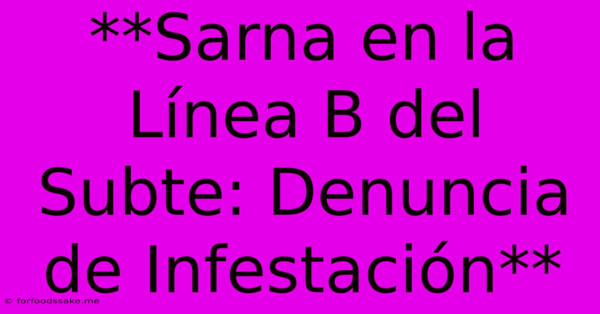 **Sarna En La Línea B Del Subte: Denuncia De Infestación**