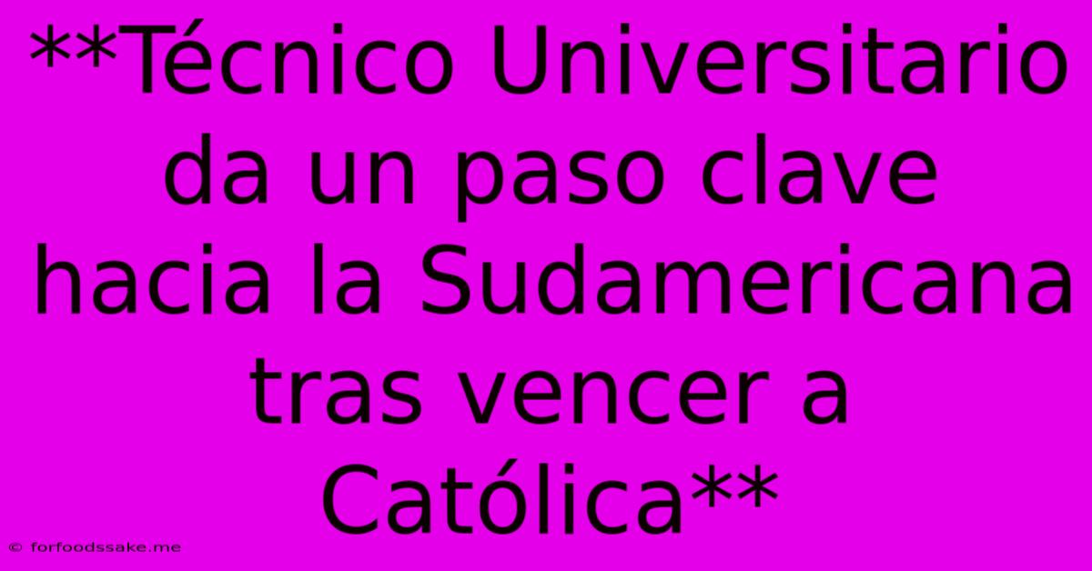 **Técnico Universitario Da Un Paso Clave Hacia La Sudamericana Tras Vencer A Católica** 