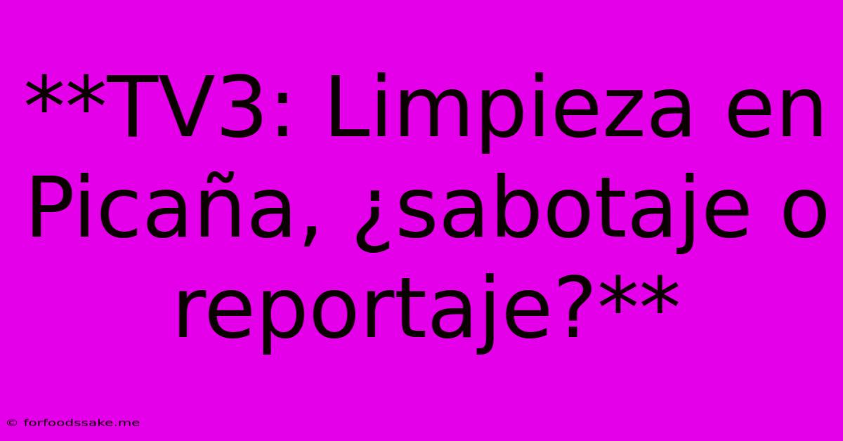 **TV3: Limpieza En Picaña, ¿sabotaje O Reportaje?**