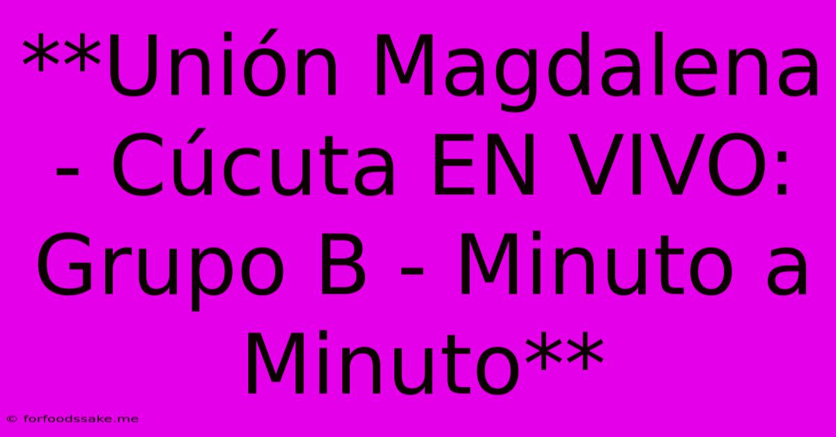 **Unión Magdalena - Cúcuta EN VIVO: Grupo B - Minuto A Minuto**