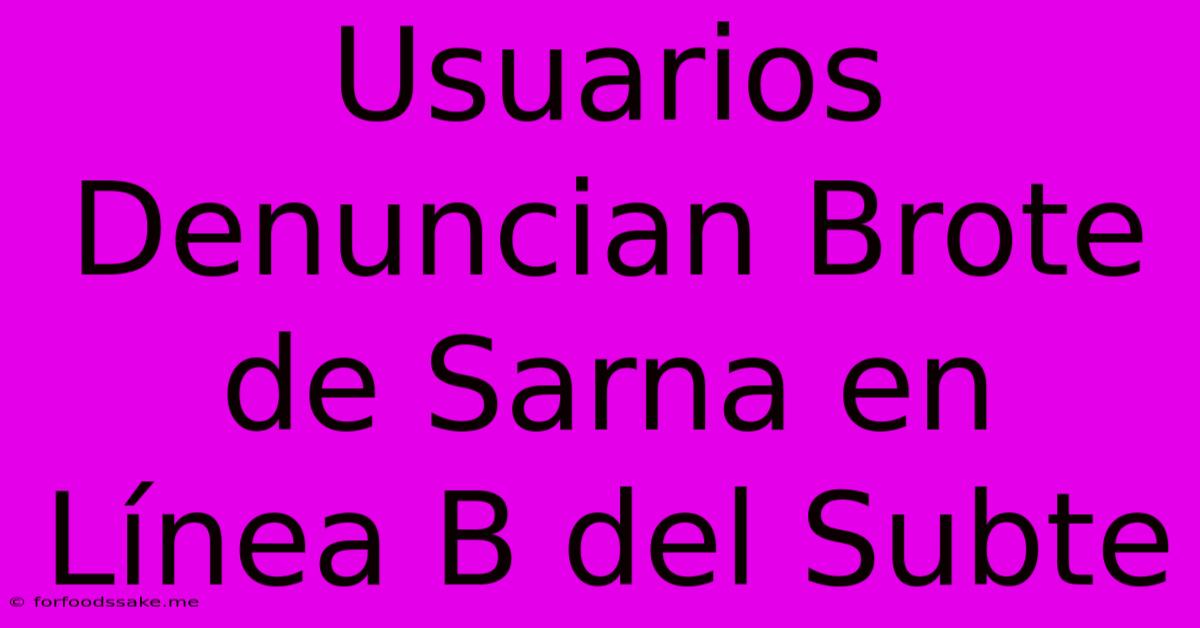 Usuarios Denuncian Brote De Sarna En Línea B Del Subte